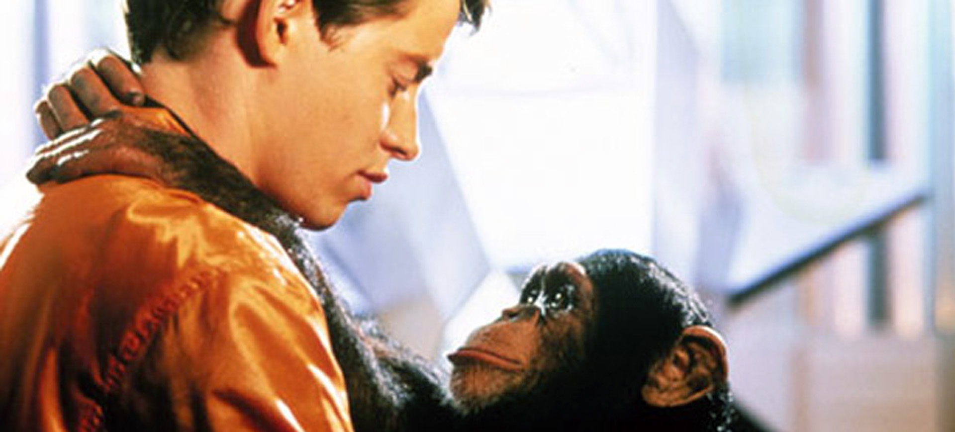 5 Movies To Welcome 2016: The Year of the Monkey - That's Normal