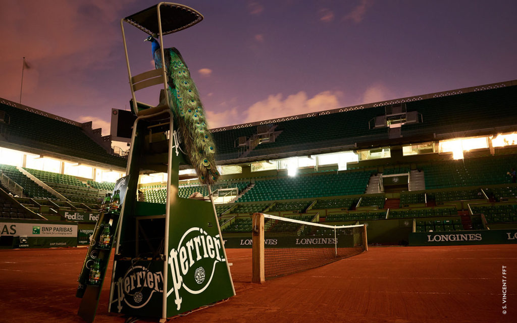 Hot Guys Of Sports The 2017 French Open That s Normal